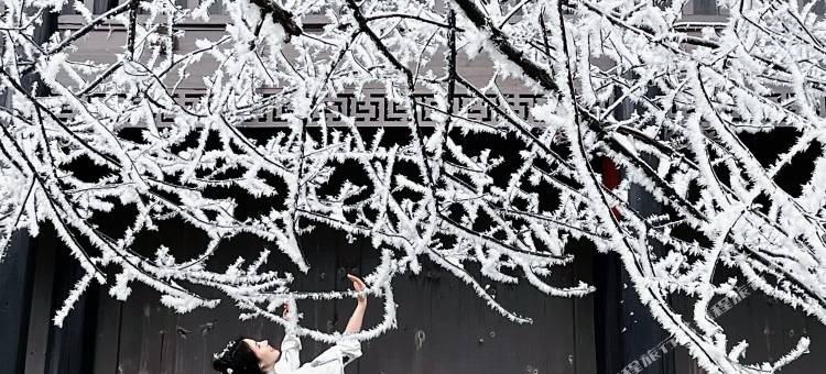 云冰山大桥客栈图片