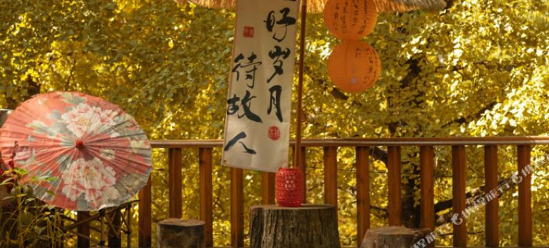 银杏村陈二客栈图片