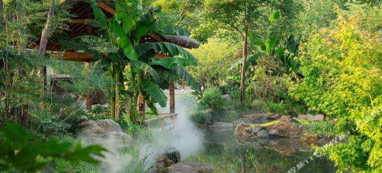 信阳松林苑民宿图片