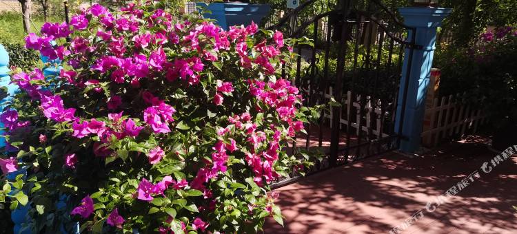 锦园花园民宿(奥体中心店)图片