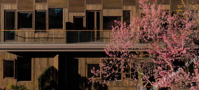 昆明松赞林卡酒店图片