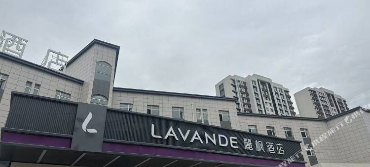 麗枫酒店(秦皇岛金梦海湾燕山大学店)图片