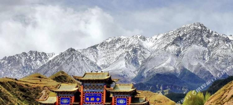卧龙山庄(马蹄寺景区店)图片