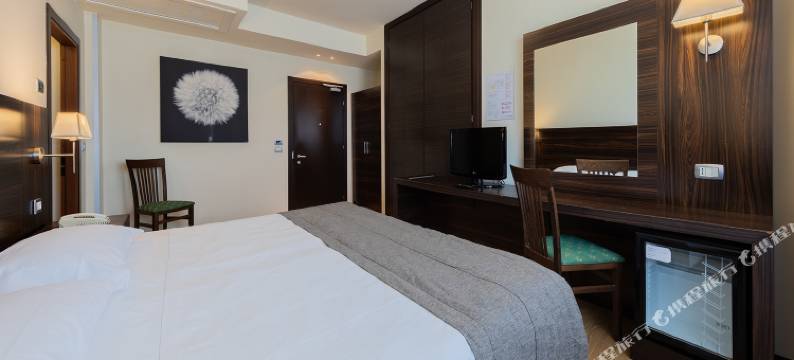 德尔菲诺威尼斯梅斯特品质酒店(Hotel Delfino Venezia Mestre)图片