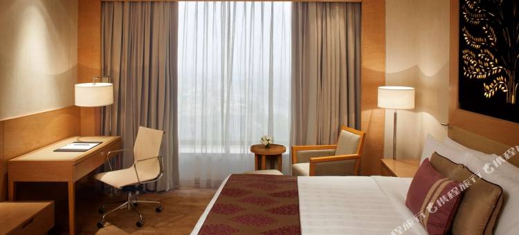 新德里德瓦卡丽笙酒店(Radisson Blu New Delhi Dwarka)图片