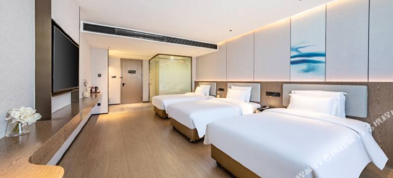 宜安星悦酒店(广州天河智慧城店)图片