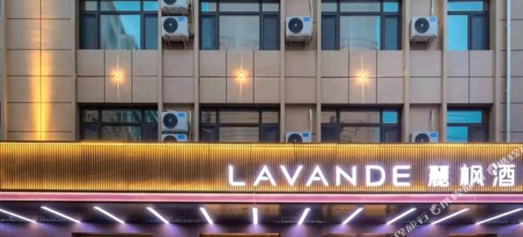 麗枫酒店(哈尔滨中央大街防洪纪念塔店)图片