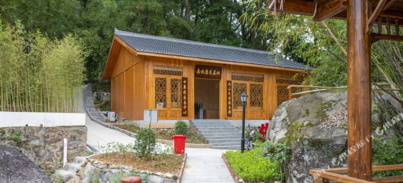 陆河两山森林康养民宿(万东店)图片
