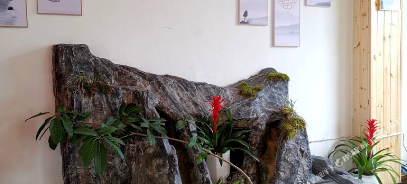 武隆益秋避暑山庄图片