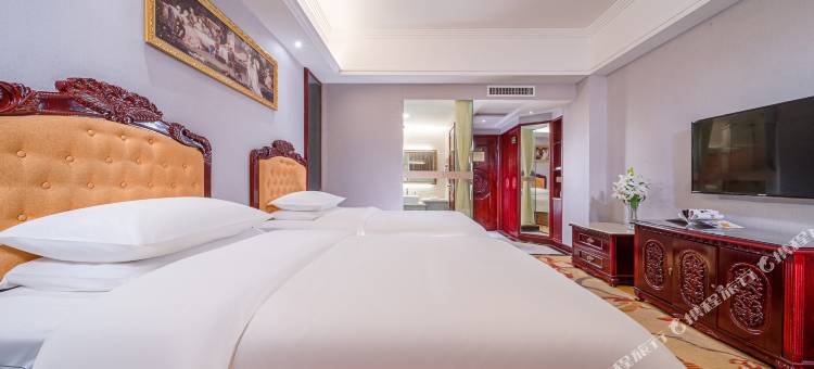 维也纳酒店(靖西中山公园店)图片