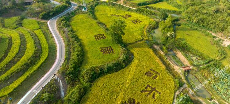 京山农场谷庄度假酒店图片