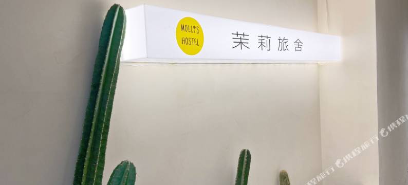 成都茉莉女生青年旅舍(春熙路太古里店)图片