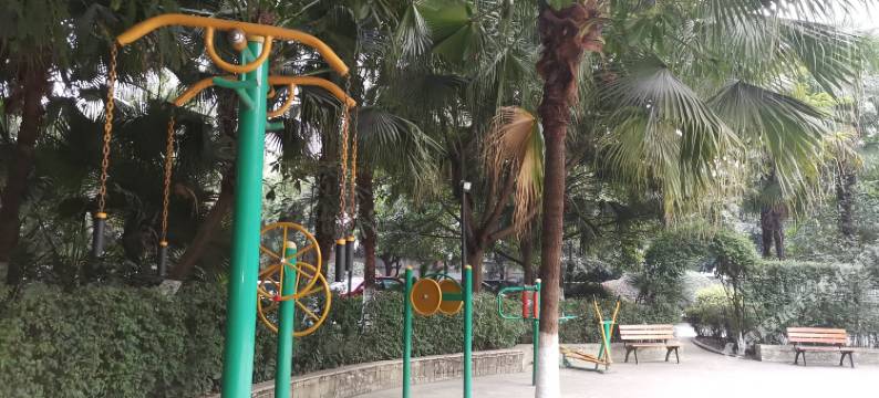 成都金牛叮叮猫民宿图片