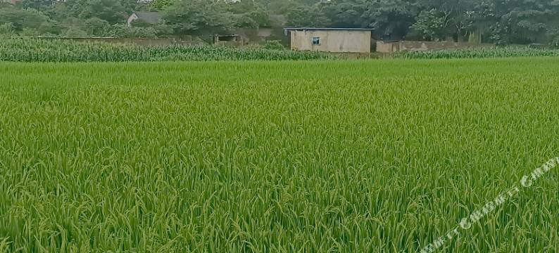 兴义奇峰乡村客栈图片