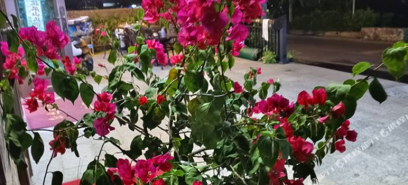 广州花果山民宿图片