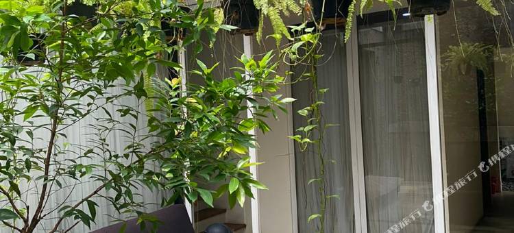 OYO 93370 第36个地点(OYO 93370 Lot Thirty Six)图片