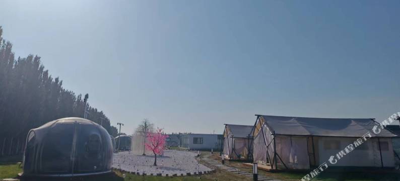 漠海山境露营基地图片