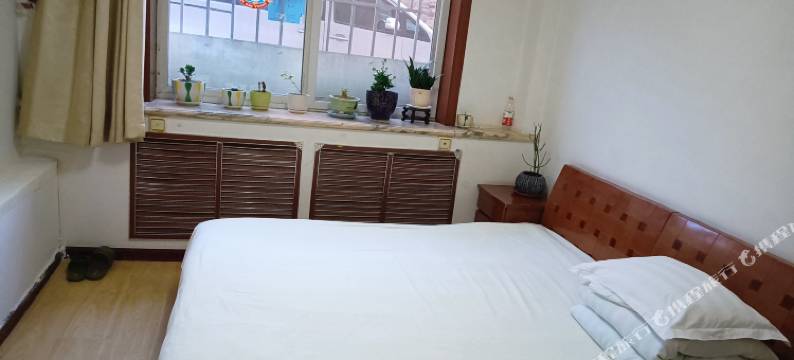 大连迎春客舍图片