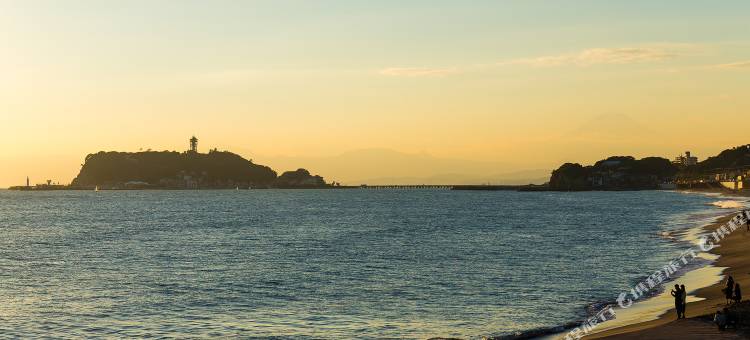 Diary of the sea图片