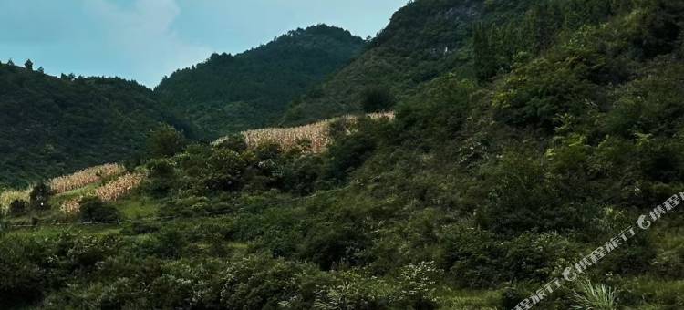田边边溪野度假营图片