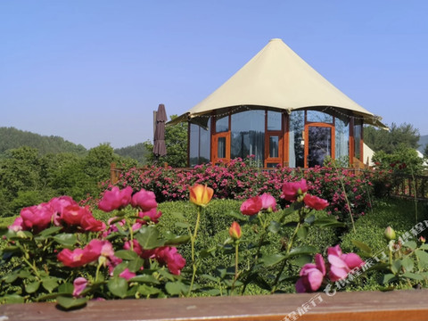 山茶日记星空观景民宿