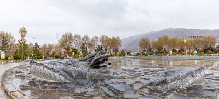 西城大酒店(岷县岷州西路店)图片