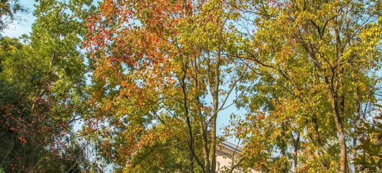 池州平天半岛大酒店图片