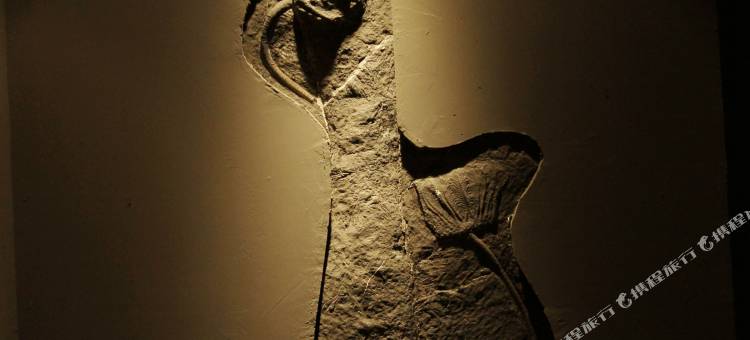 兴义三叠纪博物馆酒店(万峰林景区店)图片