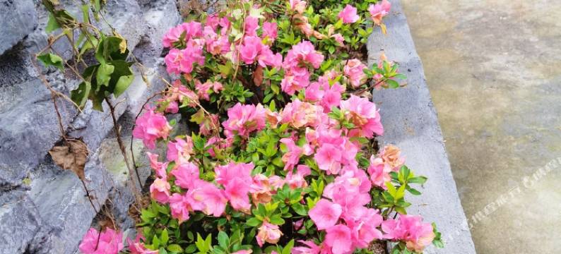 井冈山赟子公寓图片