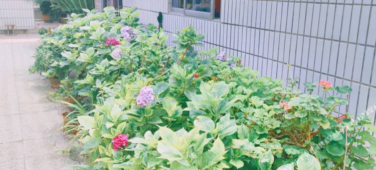 蓬莱聚仙庄客栈图片