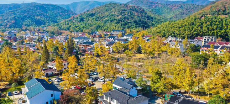 长兴银林民宿图片