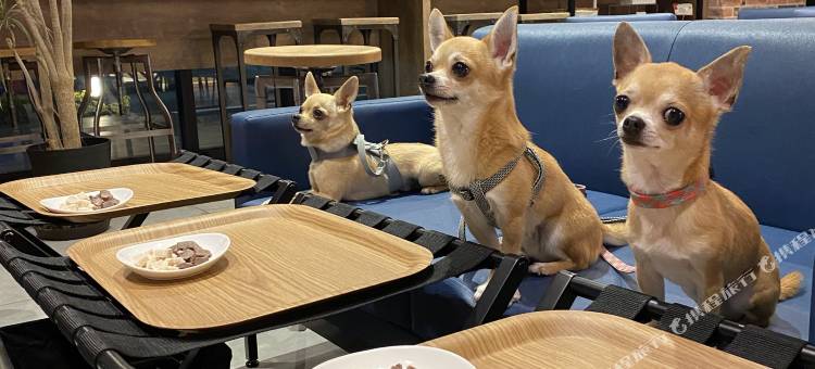浅草桥ICI酒店(ICI HOTEL Asakusabashi)图片