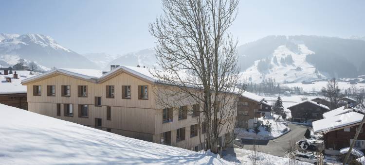 萨嫩-格施塔德青年旅舍(Saanen Gstaad Youth Hostel)图片