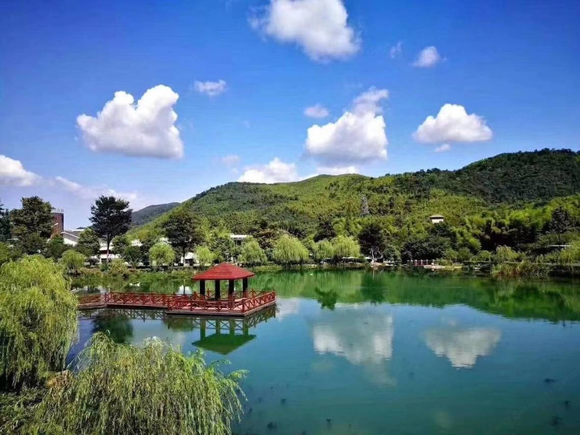 宜兴竹海国际会议中心(竹海温泉)图片