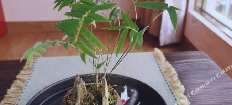 寻觅丹霞民宿(丹霞山景区店)图片