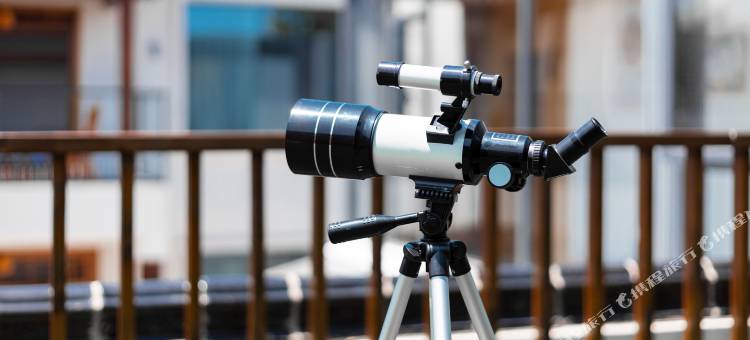 花筑·南京半山悠然民宿(银杏湖乐园店)图片