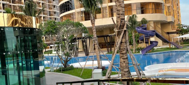 兰花公寓(orkide apartment)图片