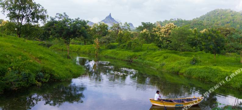 谢提农场(Shetty Farms)图片