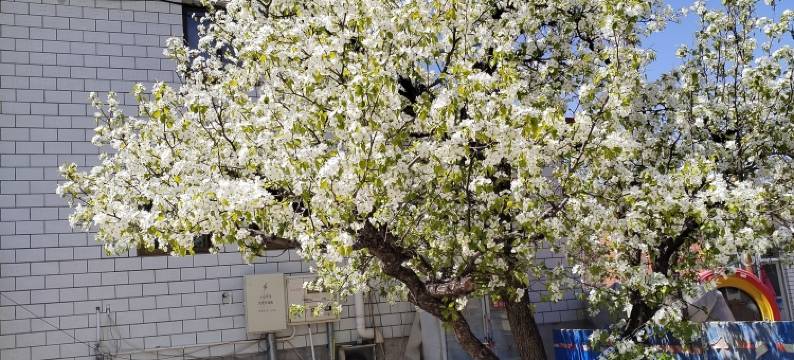 北京司马台云谷缘农家院图片