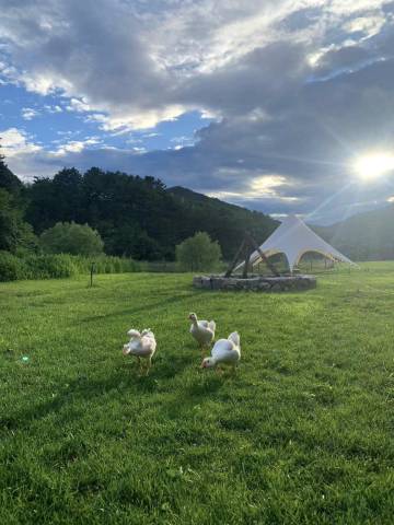 SunshineKeep·叁时壹宿民宿(承德市双桥区店)图片