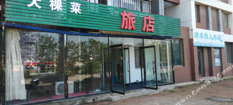 大棵菜旅店图片