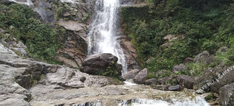 龙山村龙阳山庄图片