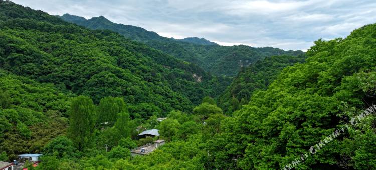 乐游心民宿图片