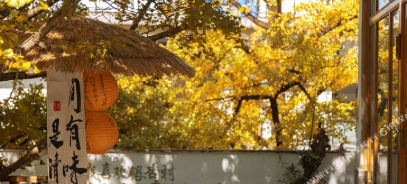 银杏村陈二客栈图片