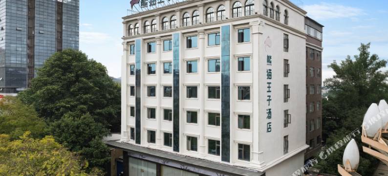 峨眉山熊猫王子酒店(峨眉高铁站店)图片