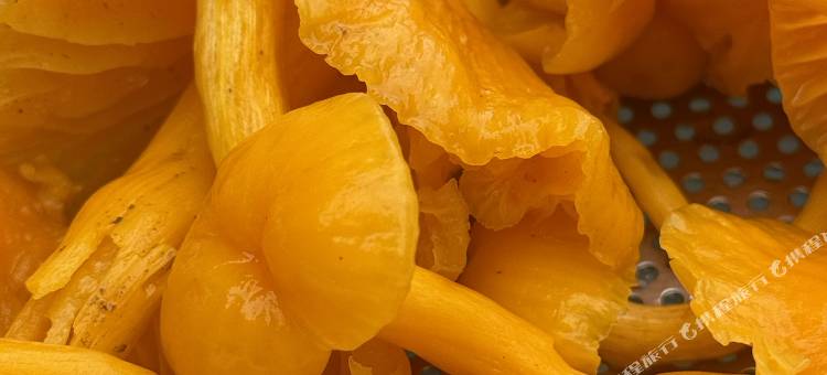 童家乐饭店图片