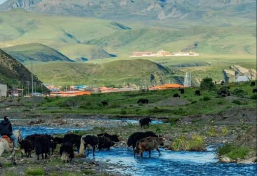 康定塔公云端别院外景图
