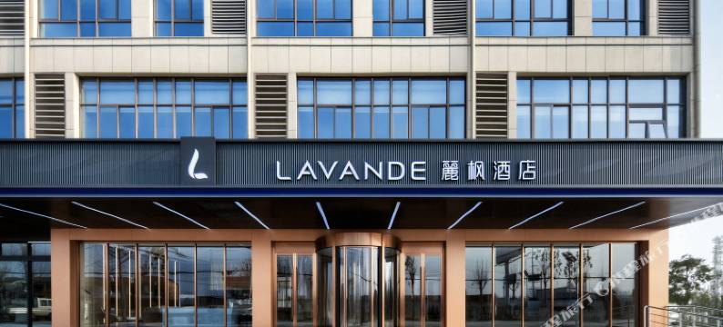 麗枫酒店(淮北濉溪新妇幼保健院店)图片