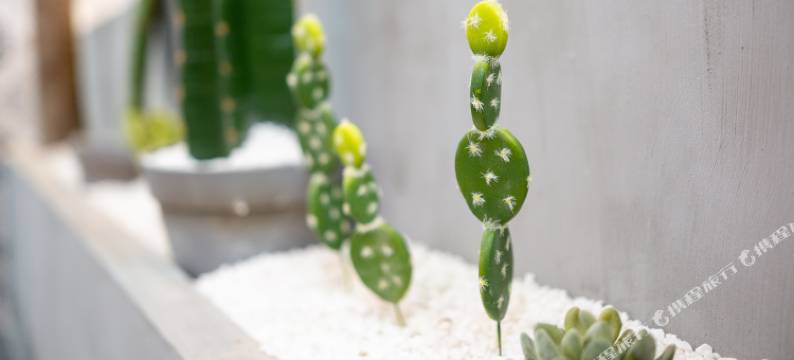 株洲北纬26°酒店图片