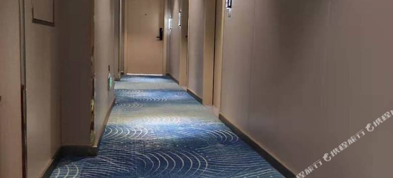 戴威尔酒店(平南汽车总站人民医院店)图片